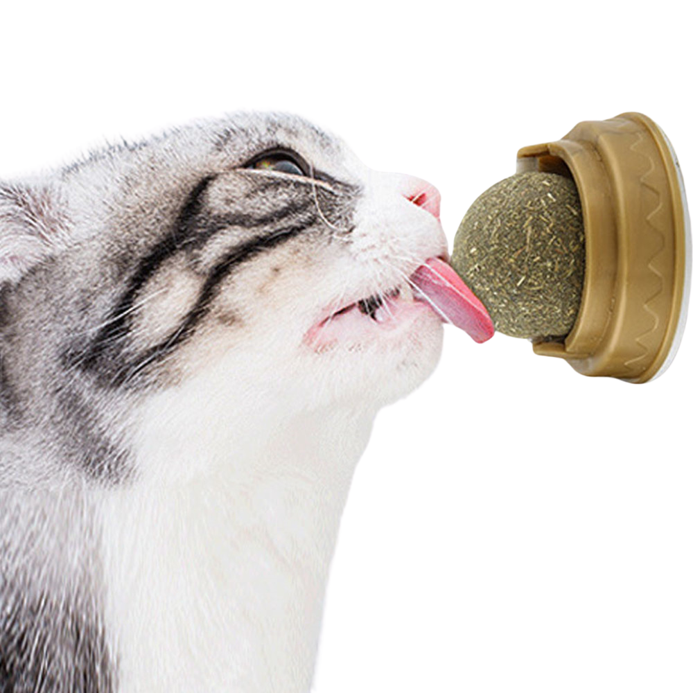 NipOrbit™ – Rotating Wall-Mounted Catnip Treat Ball