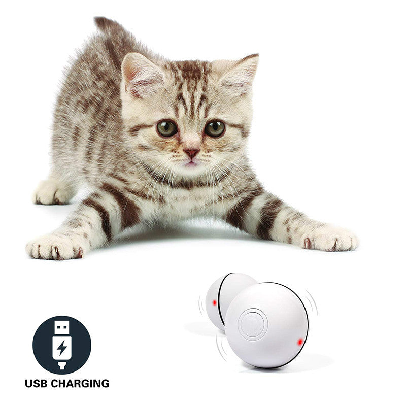 LuminoSphere™ – Interactive LED Motion Toy for Cats & Small Dogs
