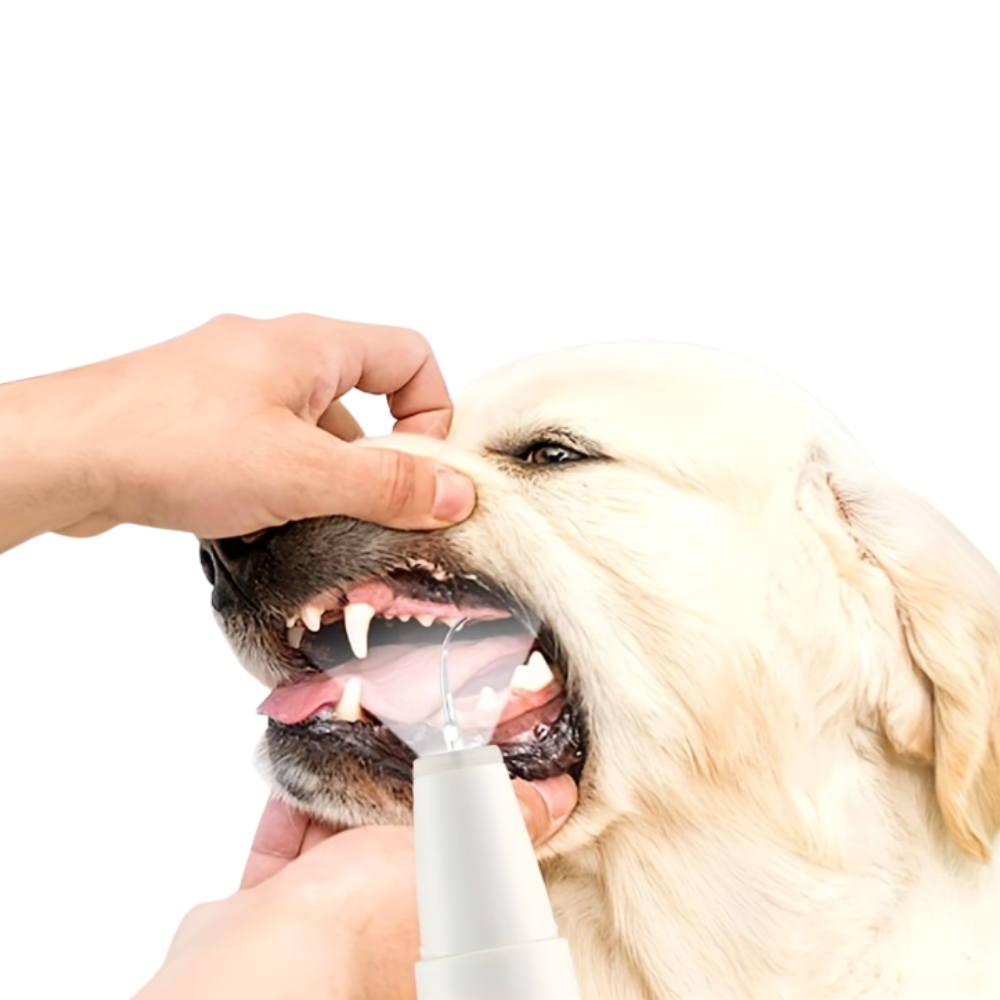 PawSmile™ – Ultrasonic Dental Cleaner for Dogs & Cats