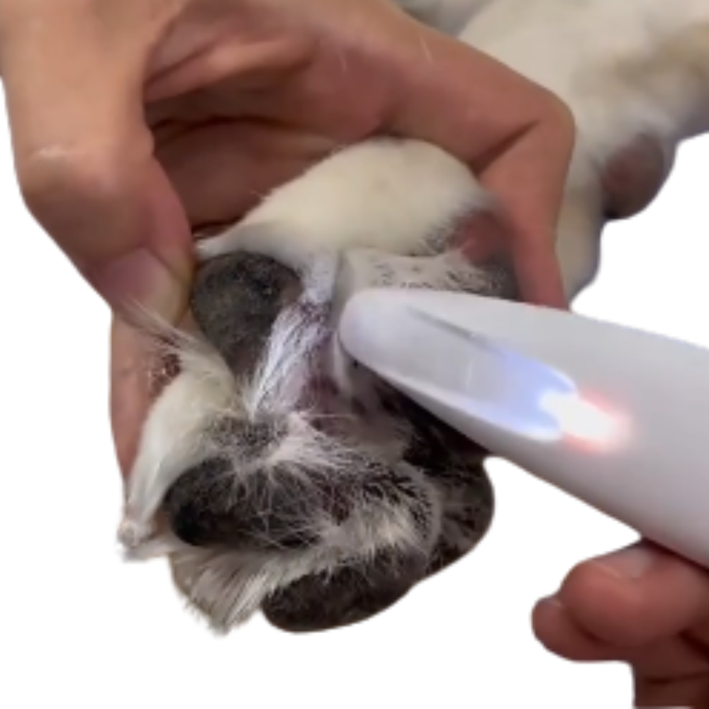 PrecisionGroom™ – LED Pet Trimmer for Safe & Silent Grooming