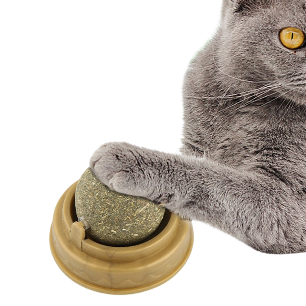 NipOrbit™ – Rotating Wall-Mounted Catnip Treat Ball
