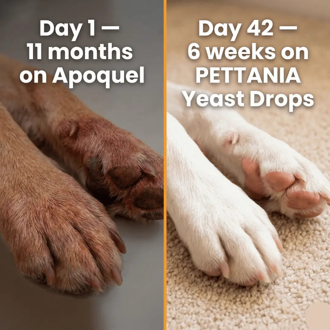 Pettania Yeast Infection Drops™