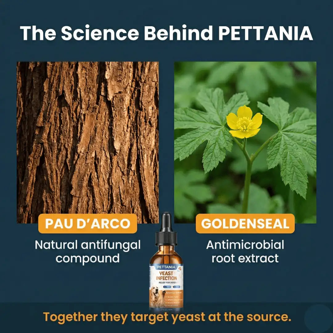 Pettania Yeast Infection Drops™