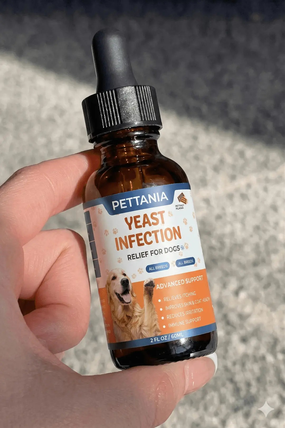 Gemini_Generated_Image_1jqog51jqog51jqo.webp__PID:856b6d4b-2687-4cf5-8c66-c710723ea992