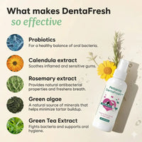 Pettania DentaFresh - Dental Spray for Dogs and Cats
