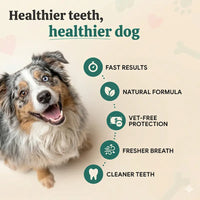 Pettania DentaFresh - Dental Spray for Dogs and Cats