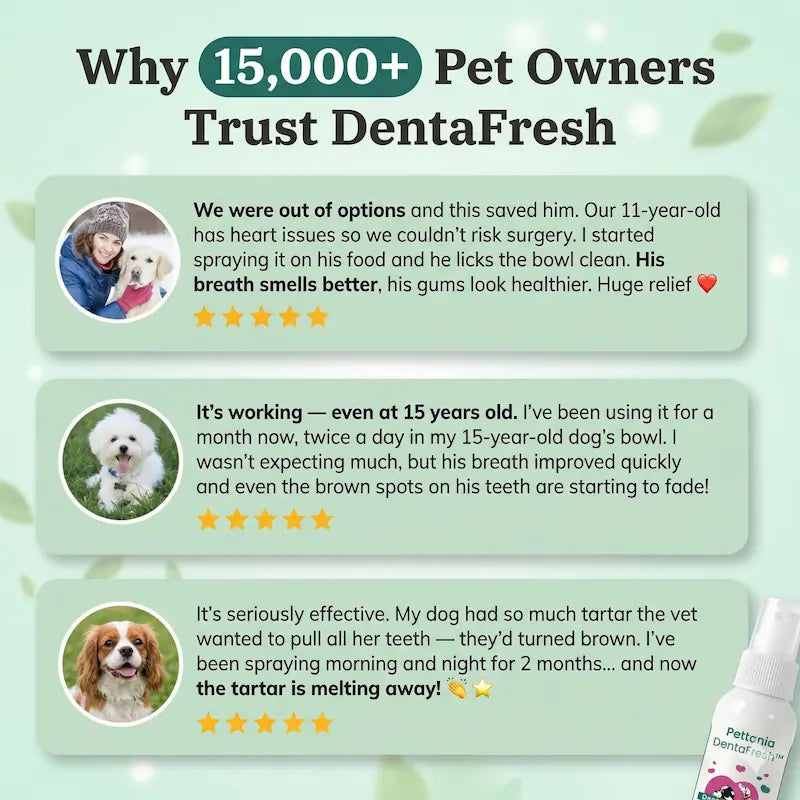 Pettania DentaFresh - Dental Spray for Dogs and Cats