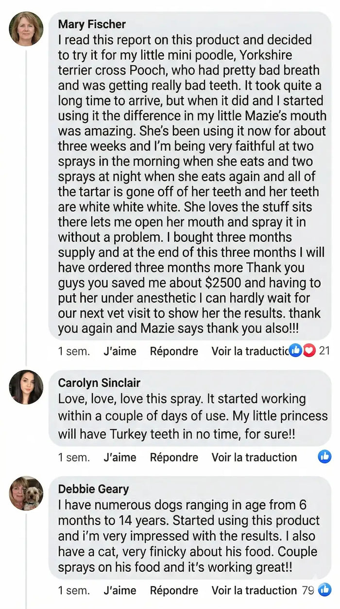 Customer Facebook comment