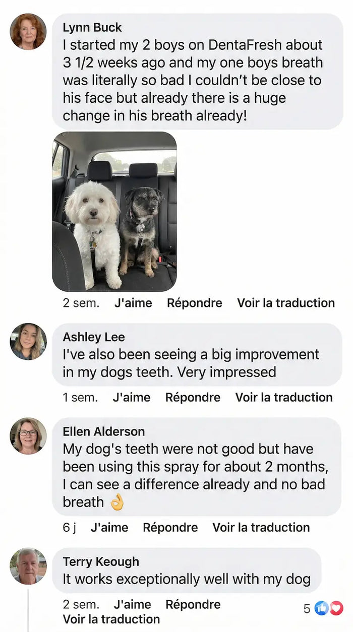 Customer Facebook comment