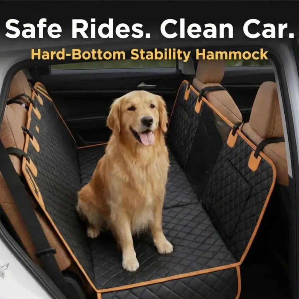 Untitled design (11).webp__PID:87842c79-daf0-4da6-b18e-66d6e8253824