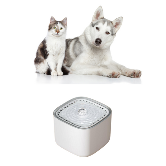 FlowPet™ – Smart Water Fountain for Cats & Dogs (3L Auto Dispenser)