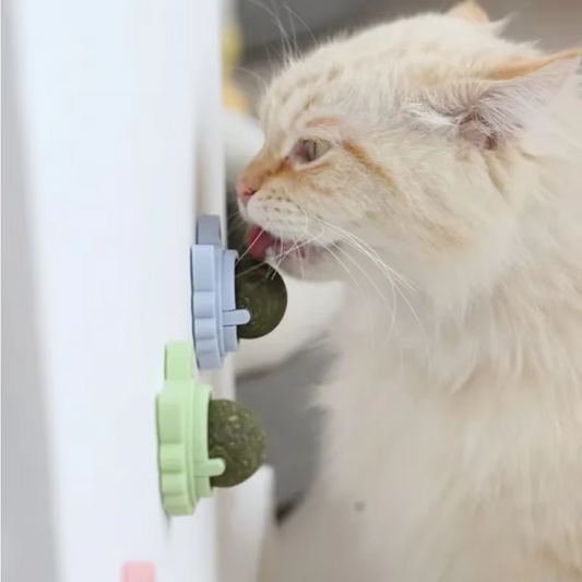 NipSpin™ – Rotating Wall Catnip Ball Toy