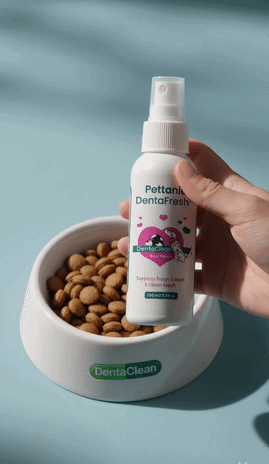 DentaFresh in use
